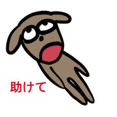WAHAWAHAHA_20260516023648