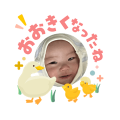 taniuchi yuta_20260516051110