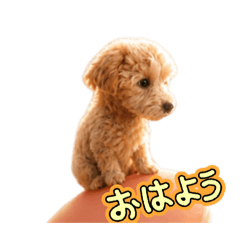 naraku_20260516053720