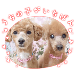 DRVVWeEFTckwtuup_20260516060134