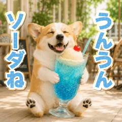 Dajare Corgi[anime]