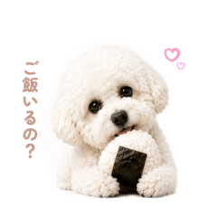 mee_20260516113226