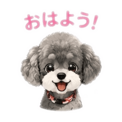 shima002_20260516113648