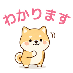 Cute Shiba Daily Replies0102