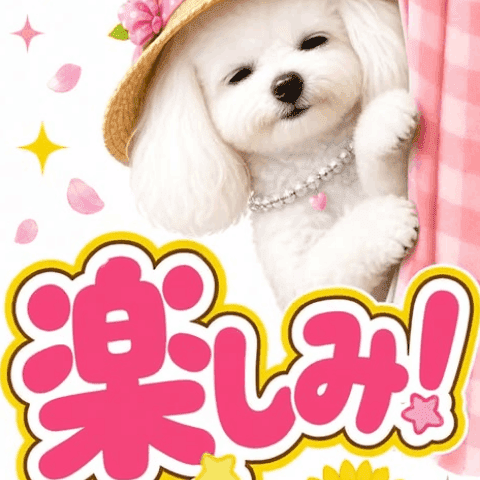 New! Pop-up Moe Moe Toy Poodle Vol.1