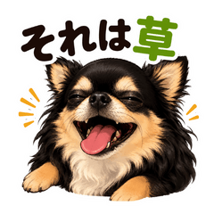 Funny Stickers of Kuu the Chihuahua