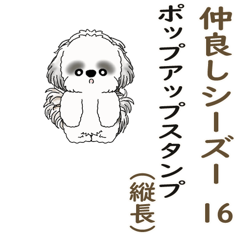 Pop-up Shih tzu 2026(Friendly Shih Tzus)