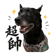 黑狗阿金