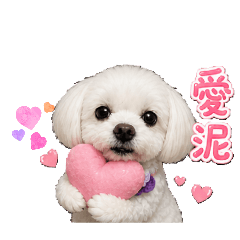 瑪爾濟斯妹妹