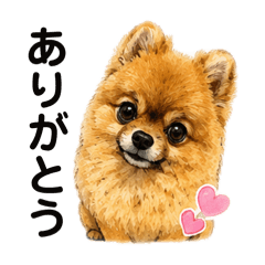 arare_20260516002016