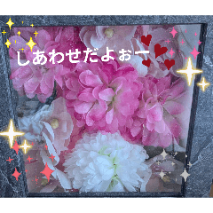 atsu_20260516080948