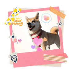kurumikan_20260516081836