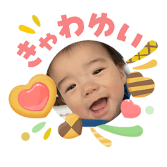 nomo_20260516081720