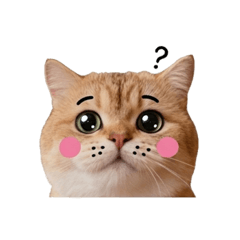 Doodled Cat: The Four Emotions