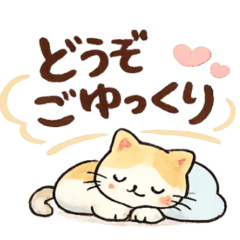 grown-up cute cat