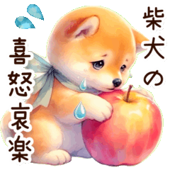 The emotions of a Shiba Inu 3