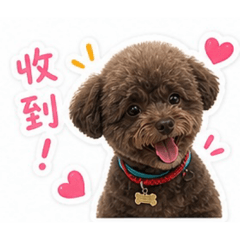 花狗招呼用語