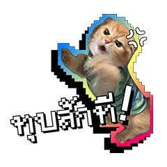 Tinymonsterz cat (Ver.1)