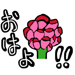 Laco_20260516090832