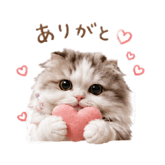 aya_20260516134548