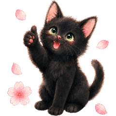 Black Kitten and Sakura Daily Stickers2