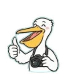 Bird photography series - Photographer 1