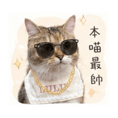 ᓚᘏᗢ Luluฅ⁠ I