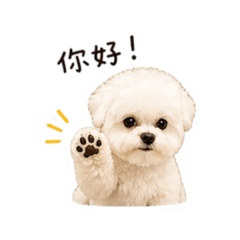 Bibiの 貼圖