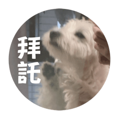 咕哩內心話