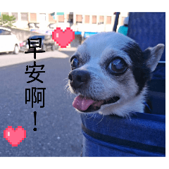 momo的表情貼～♡