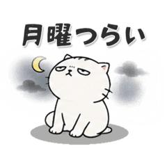 Fute Nyan Working People's Limit Edition