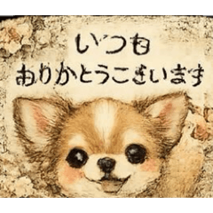 berry_20260516141616