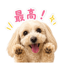 iwane_20260518224556