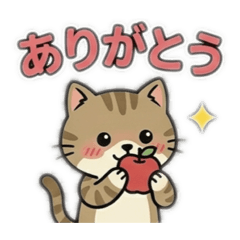 QWERTY_Cat1