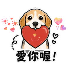 暖心妞妞：陪你聊聊天