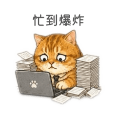 瓜瓜上班日常