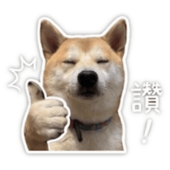 HANAna第一彈