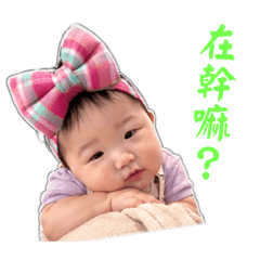 連小妹貼圖