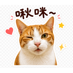 蝦蝦和靈靈來打招呼