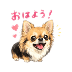 CHA-CHA_20260516150032