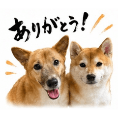 Marvoe_20260516150620