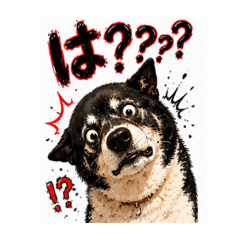 mahiro_20260516150304
