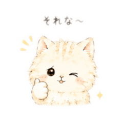 tenten_20260516150742
