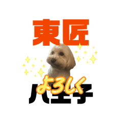 Toushou_20260516151322