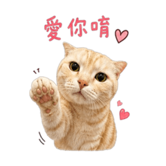 BB麻吉臭臭