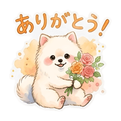 MAKI Company_20260519180923
