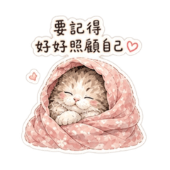 今天先這樣貓|北爛療癒日常