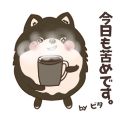Another Pomeranian Day.
