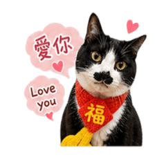 貓仔與摩卡的日常