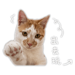Fufu福